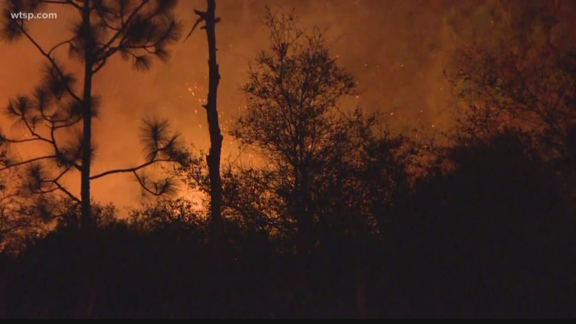 The fire is located north of the Longleaf subdivision in New Port Richey.
