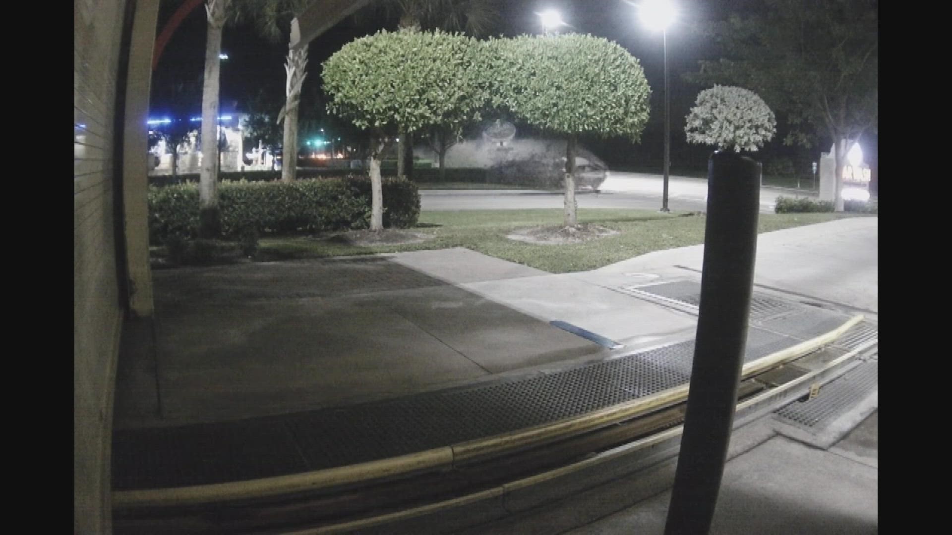 Car bursts into flames after hitting into light pole in Estero | wtsp.com