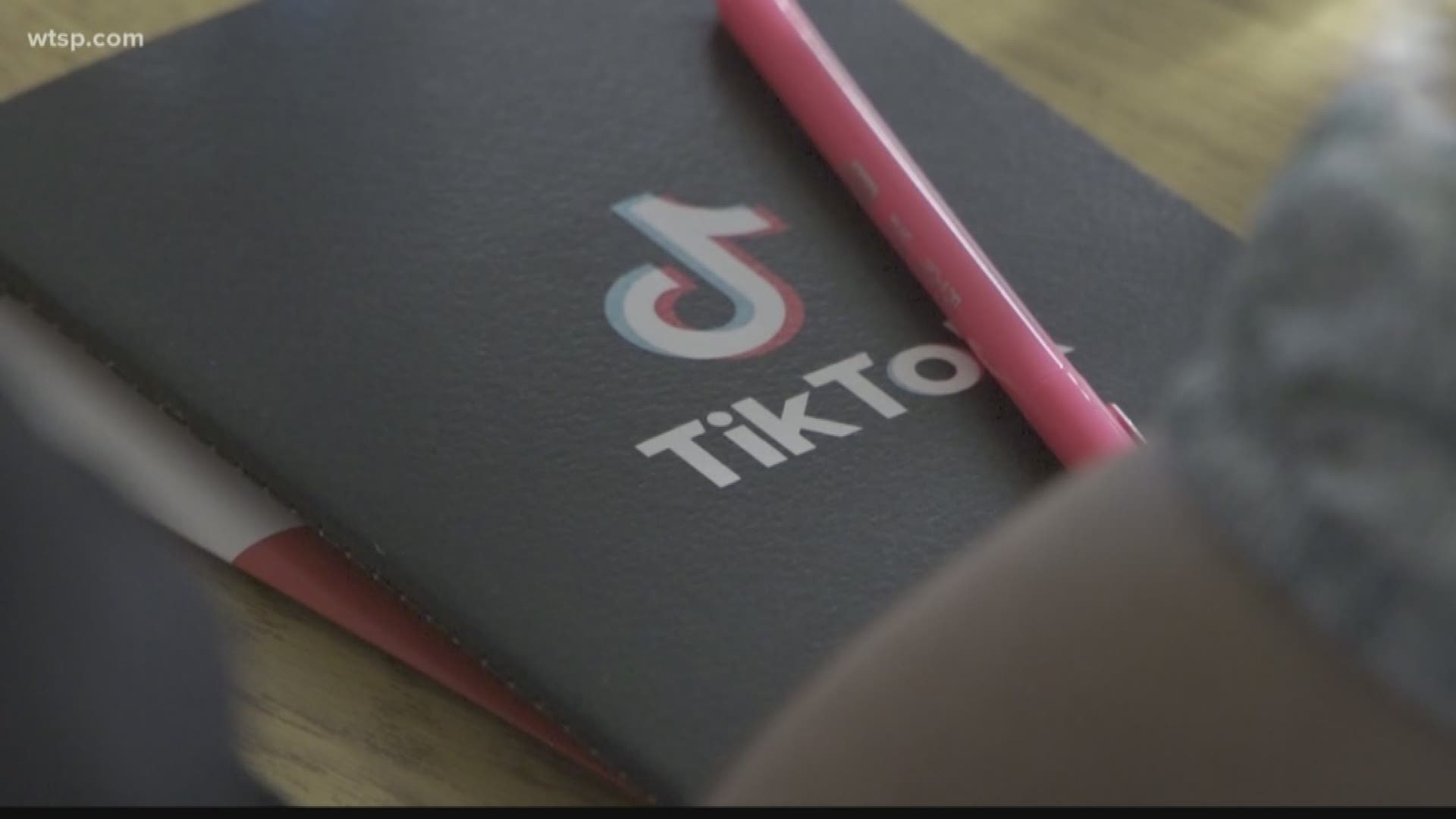 If you have teenager, then odds are you are probably familiar with the app TikTok...or have at least heard of it.