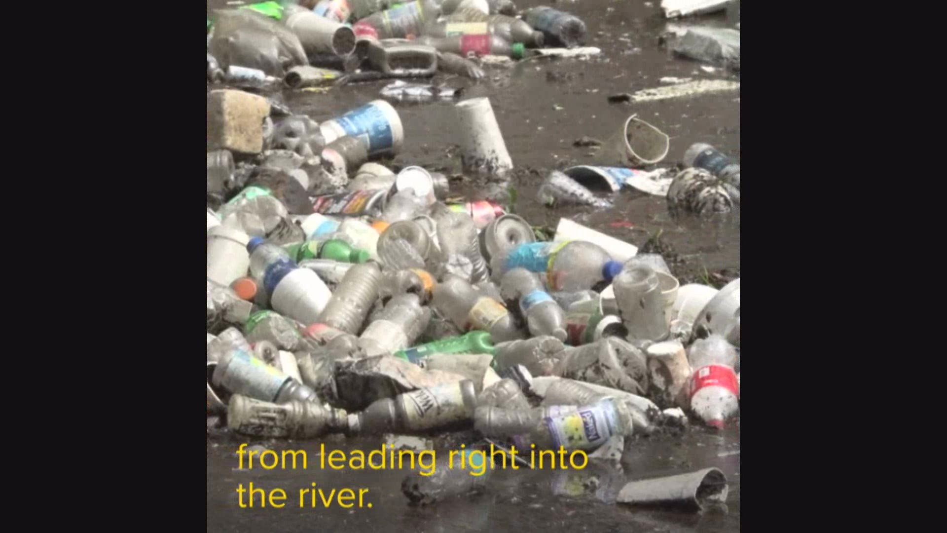 Watergoats make pollution problem in Tampa Bay obvious