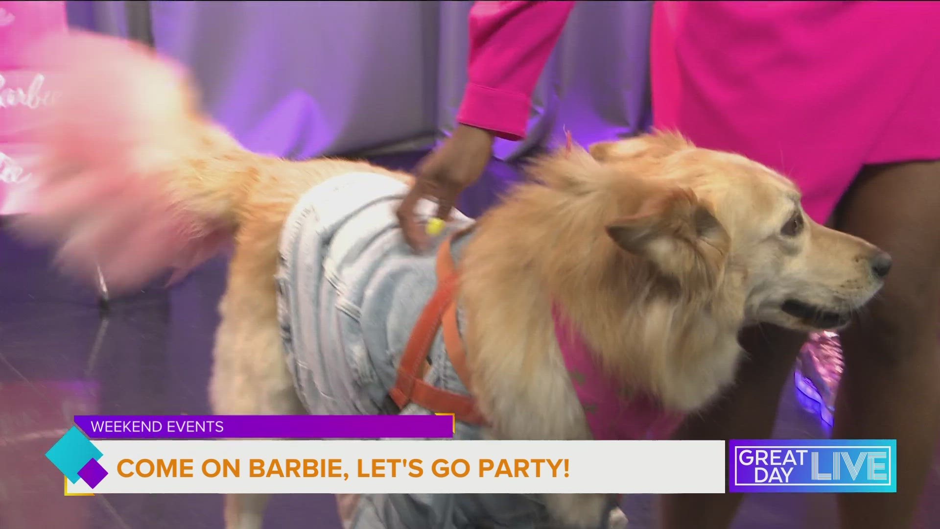 You and your four-legged friend can get into the Barbie spirit at two parties in Tampa Bay this weekend. RedDevilEvents.com