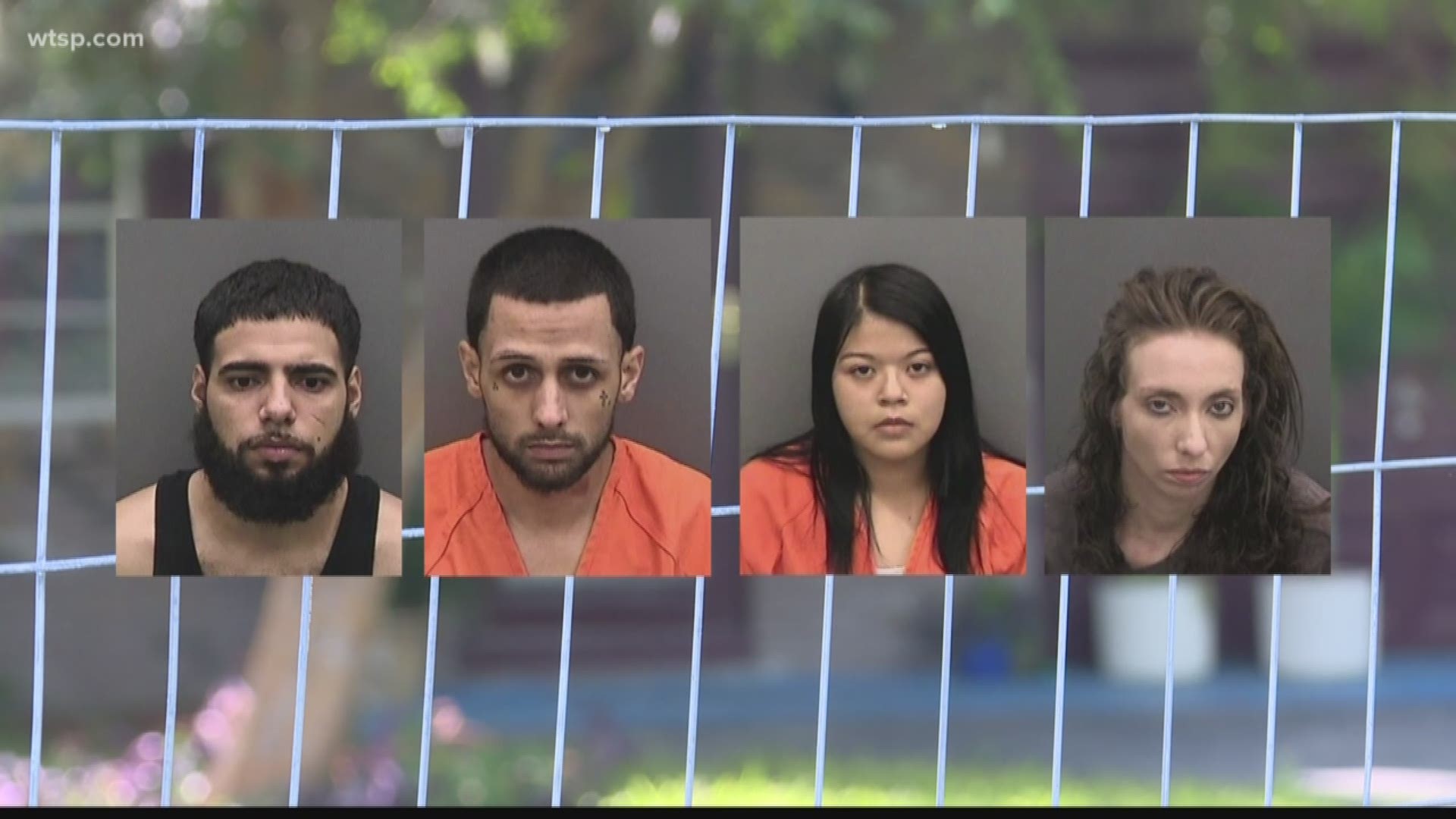 Plant City police say they've arrested four people so far in connection with several incidents of men being lured to a home, beaten and robbed.

Police say the men were lured to a home through social media, believing they would be "socializing with an attractive female." When the men got there, a woman would take them inside, where officers say they were "robbed, viciously tortured and beaten" by the people inside. https://on.wtsp.com/2PbJEqV
