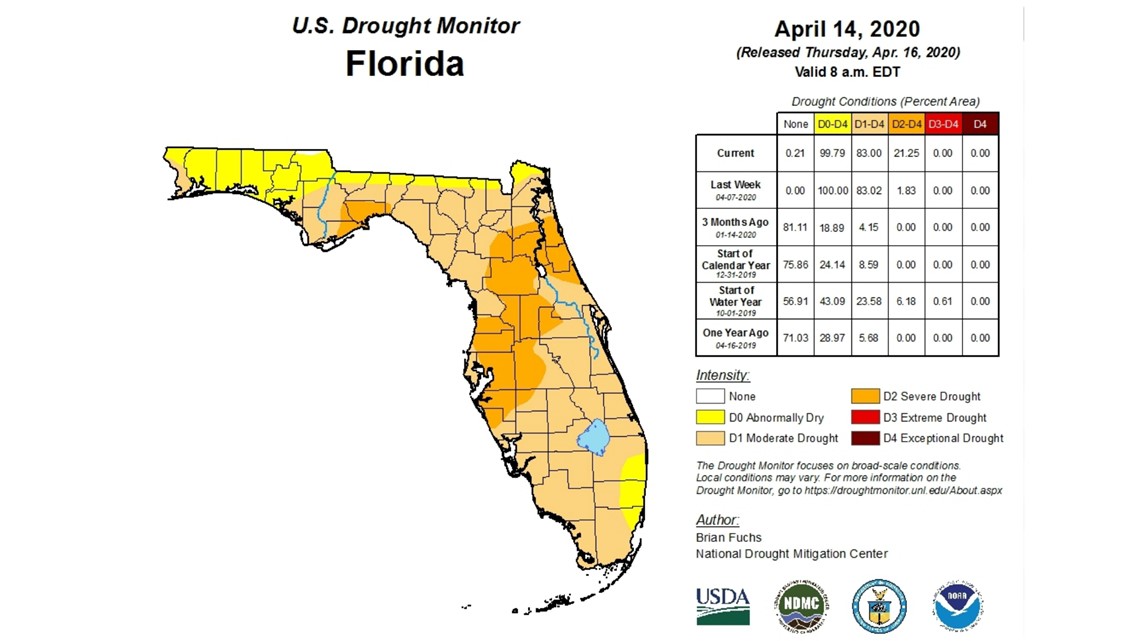 Tampa Bay is now in a severe drought | wtsp.com