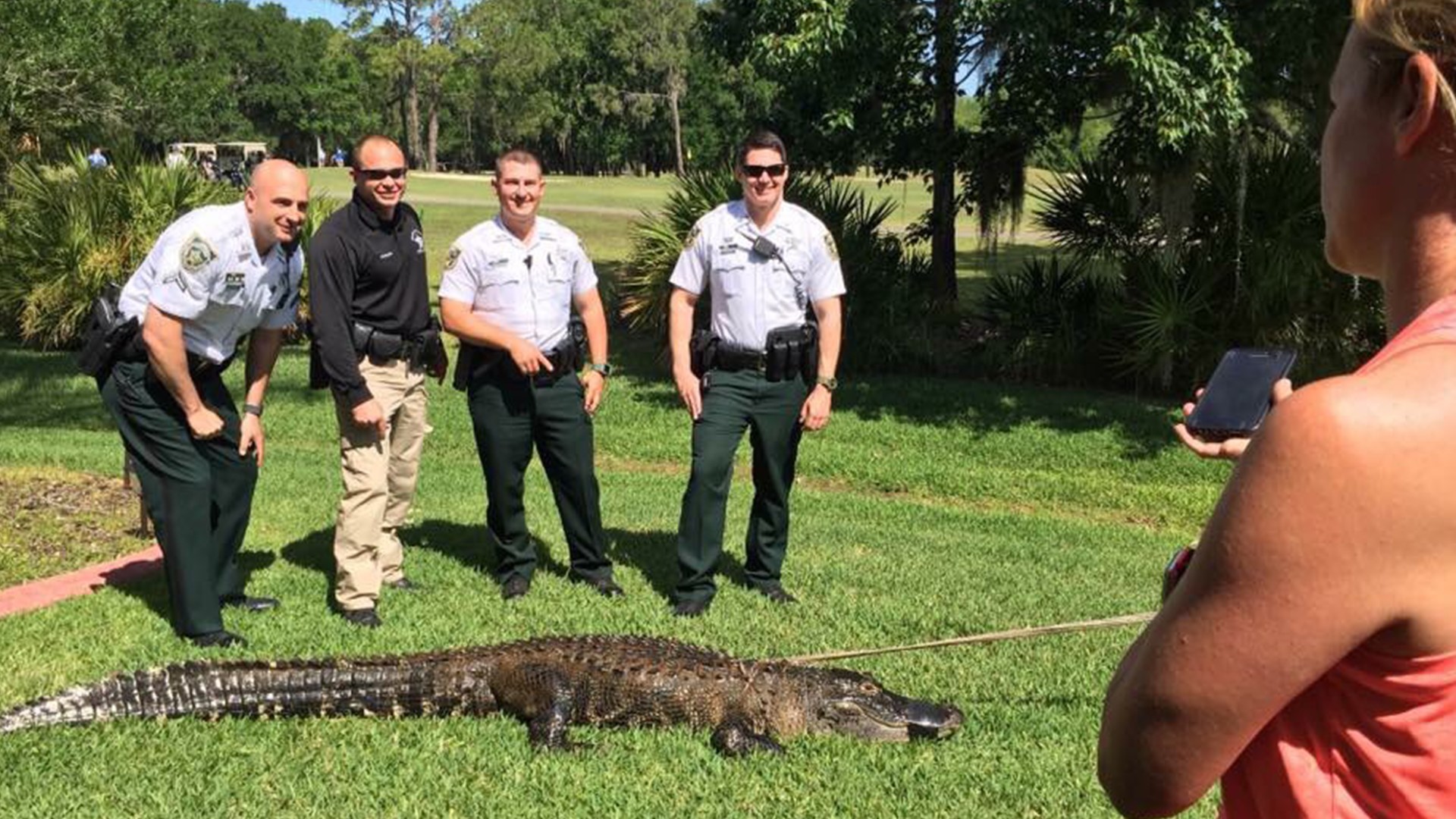 Alligator mating season is underway, so expect to see gators active in ...