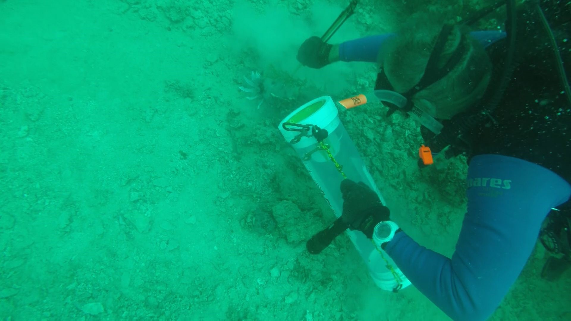Tim Lehman is out looking for fish and lobster, but he takes down a device called a “Zookeeper.” It looks like diaper genie for lionfish. He spears them and stuffs them into the little prison. It also protects him from being stung by the fish’s 18 venomous spines.