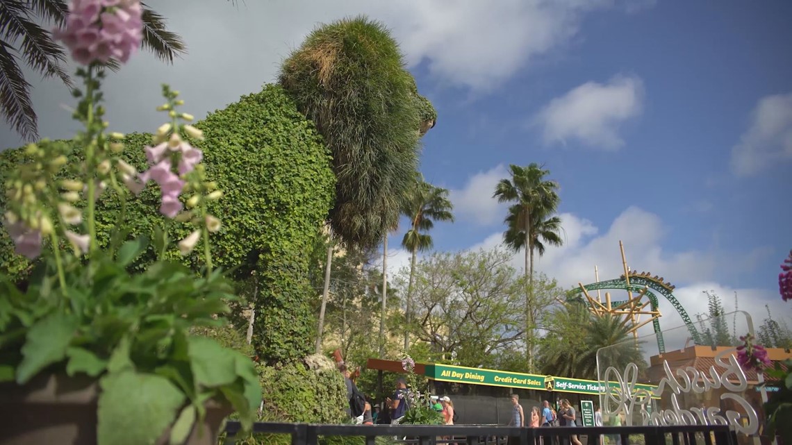 As park continues to expand, Busch Gardens Tampa insists its not