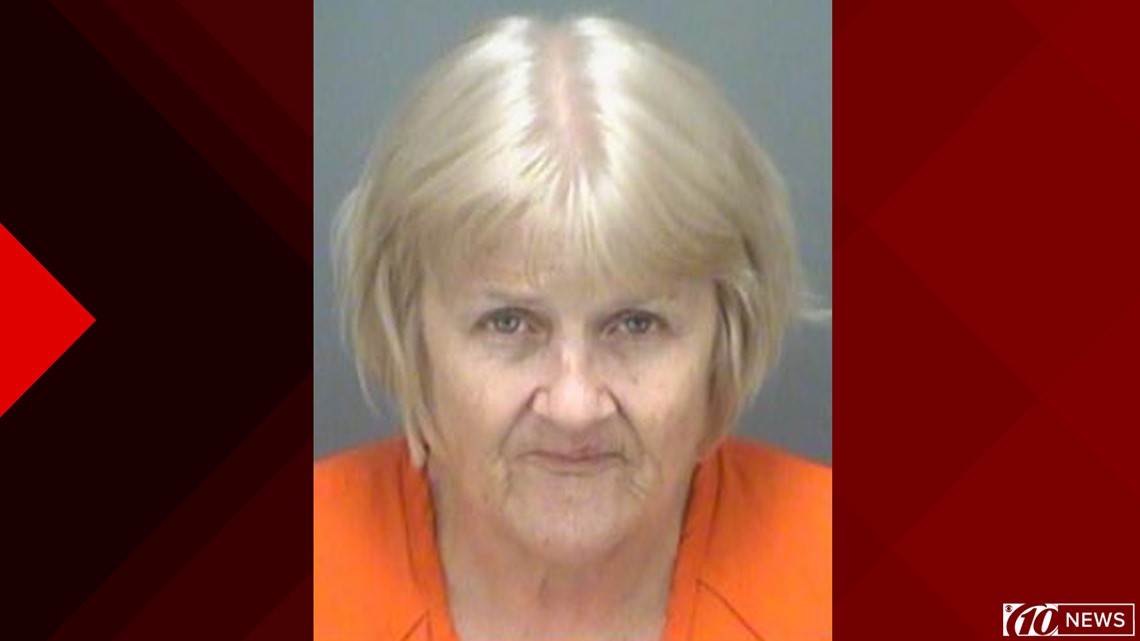 Dunedin Woman Accused Of Stealing Wallets, Purses From Elderly Women In ...