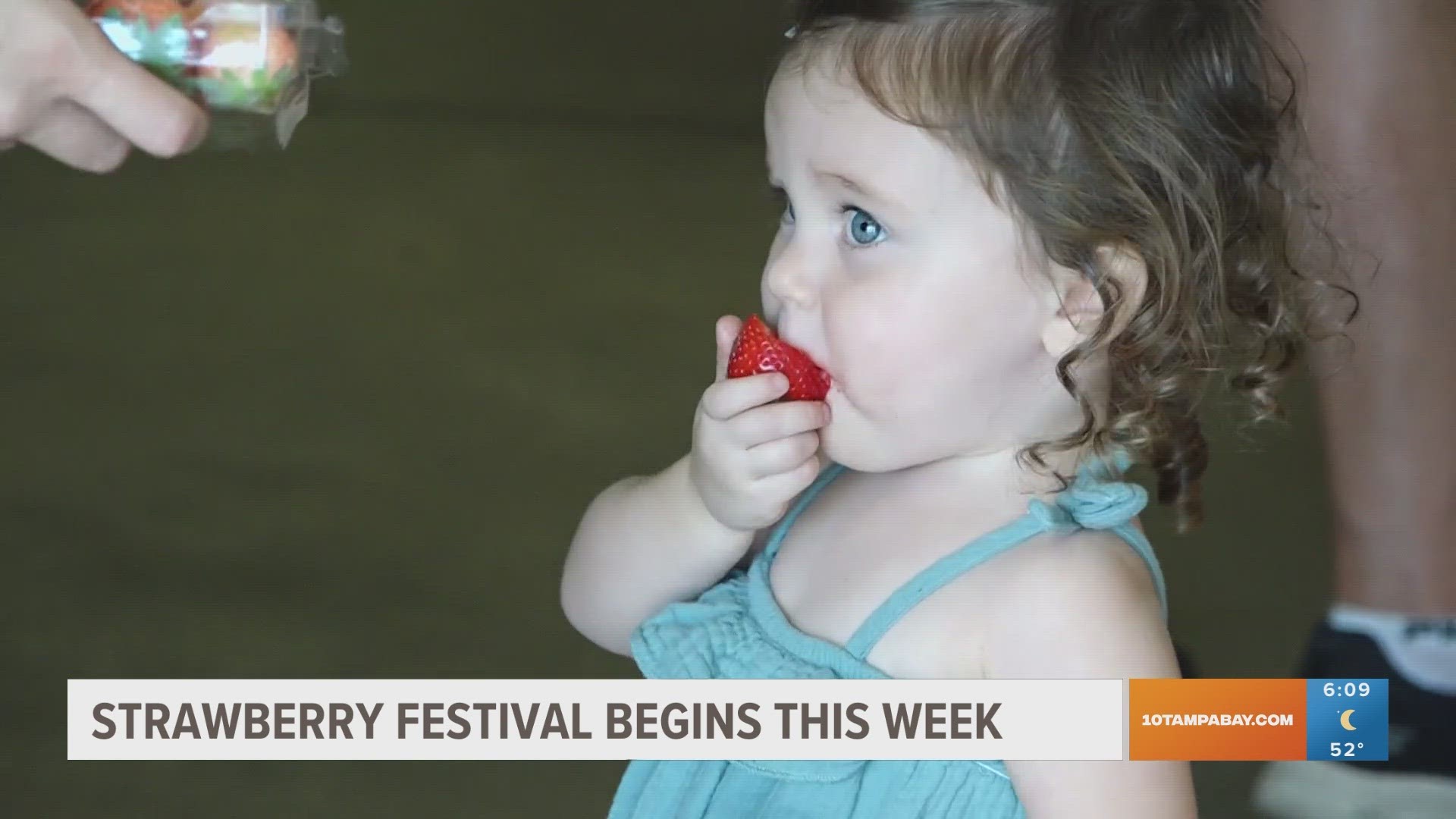 Fair food, live music and concerts and of course all things strawberry are coming to Plant City this week.