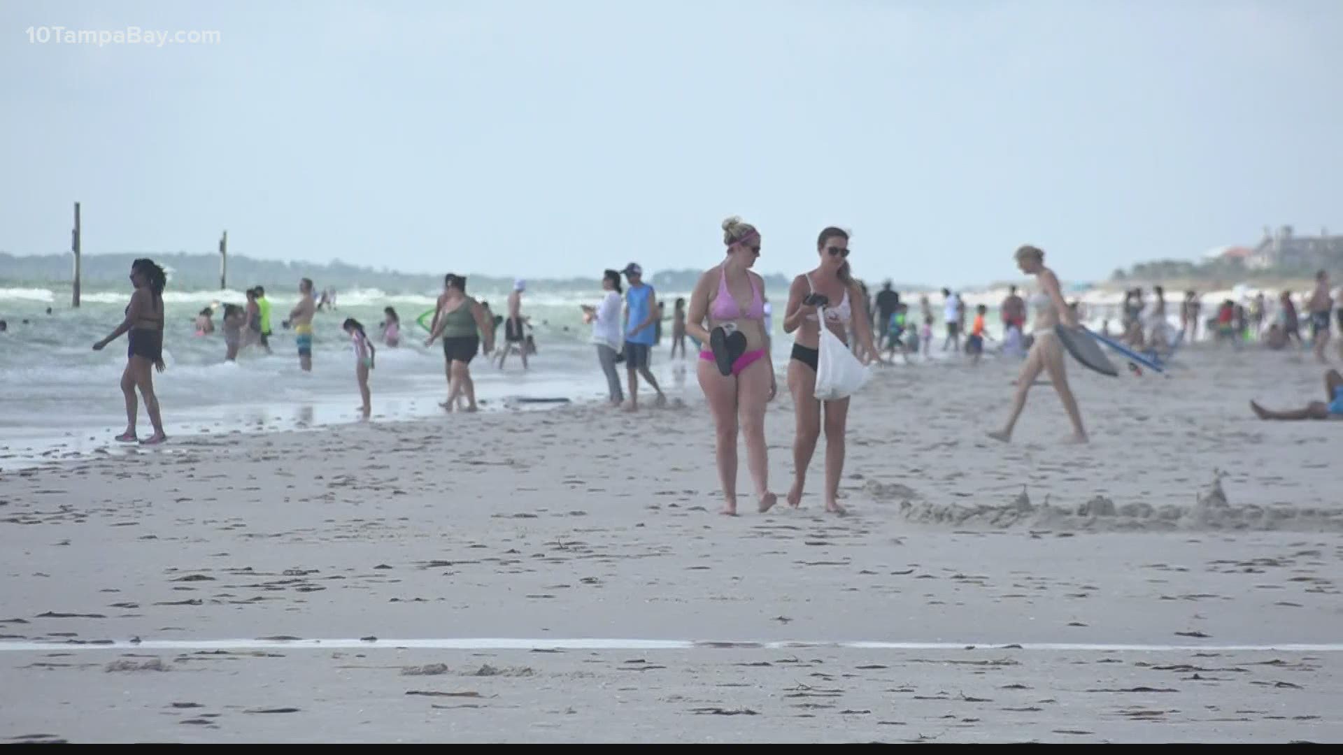 People crowd Clearwater Beach despite FWC's report of medium concentrations of Karenia Brevis.