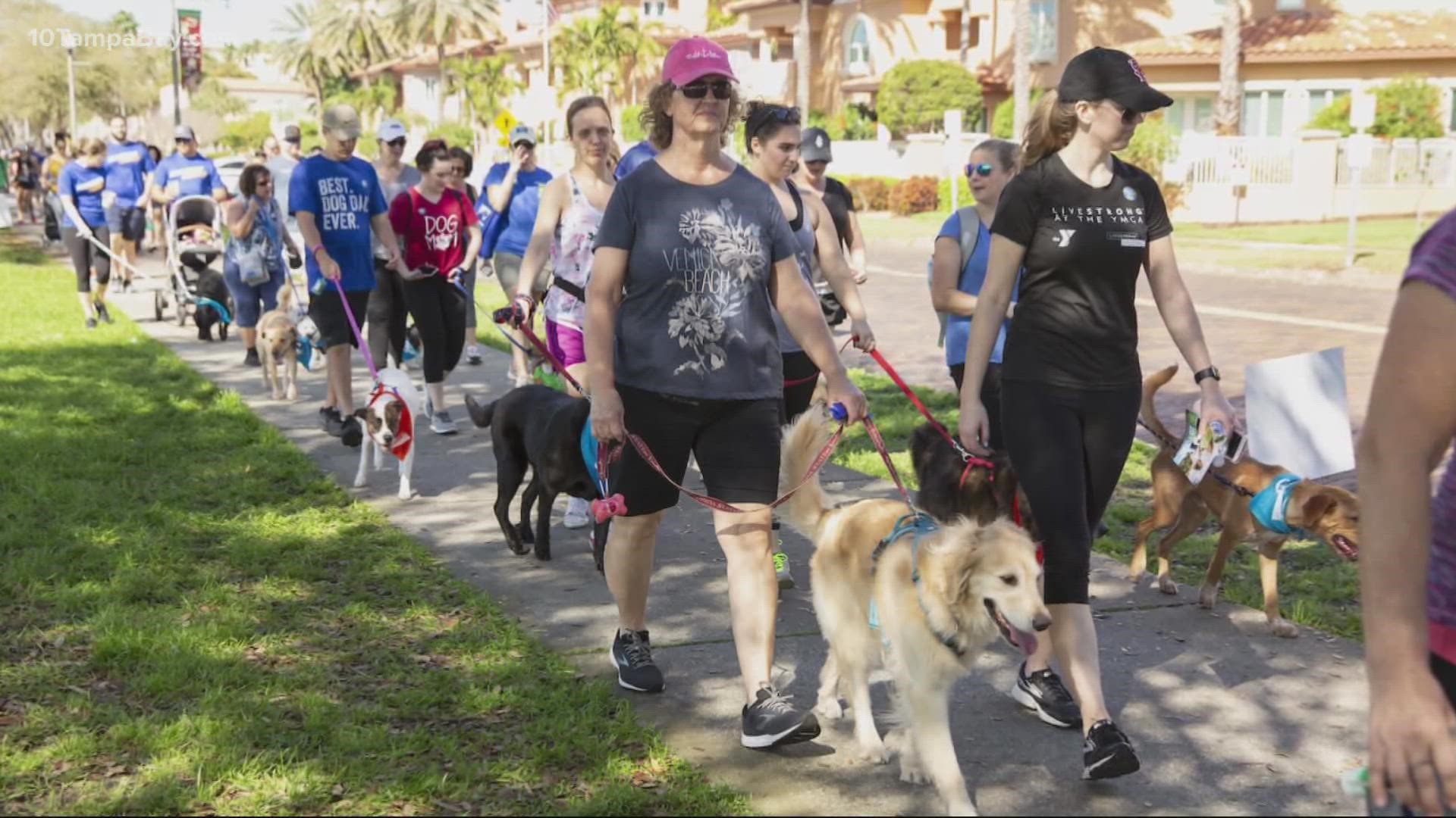 The 3K walk is happening Saturday at North Straub Park in St. Petersburg.