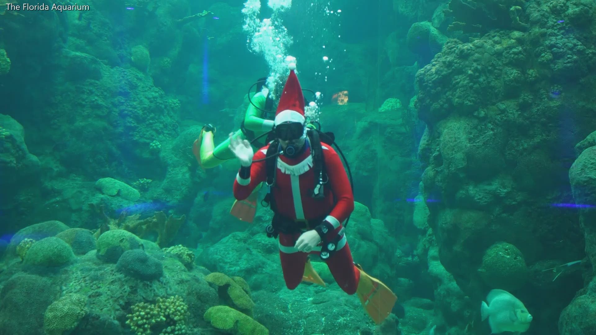 Santa Claus made his first stop in Tampa for the holidays and decided to take a dive at the Florida Aquarium!