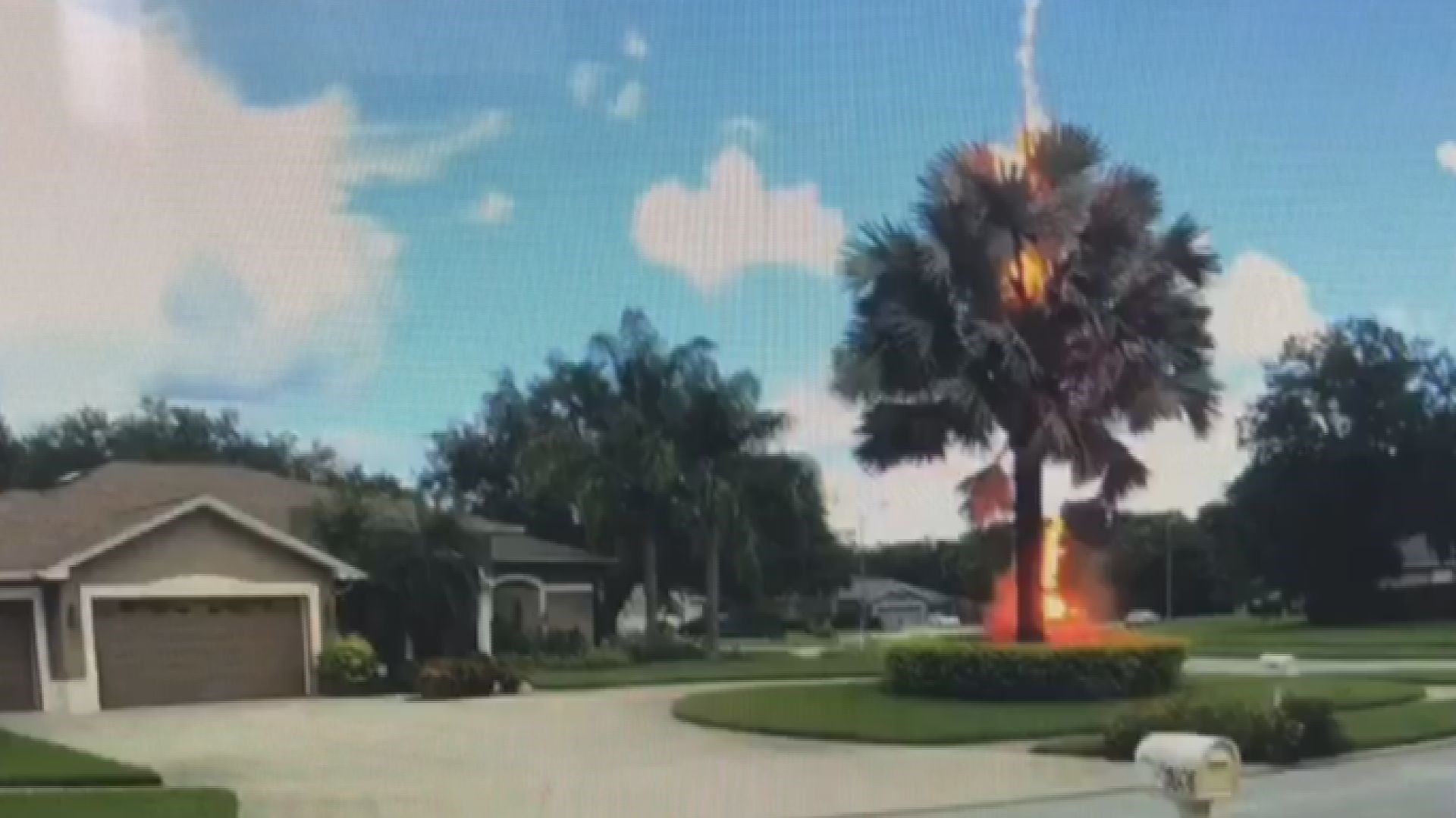 Video shows lightning bolt hitting tree in Florida neighborhood 