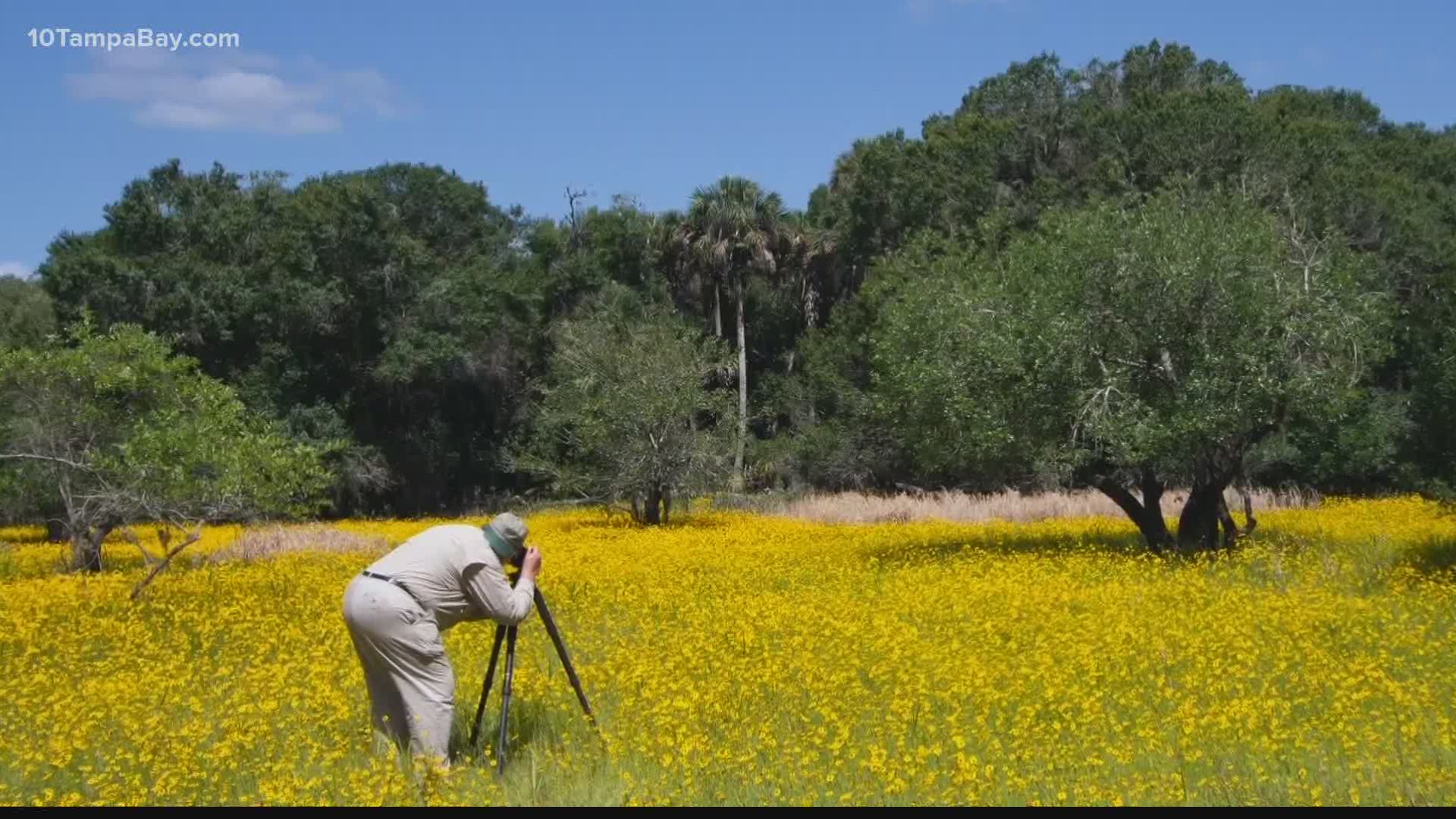 A world-renowned landscape photographer is bringing his talents to the Tampa Bay area.