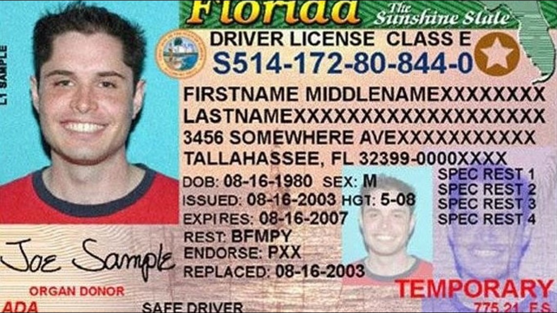 Florida Driver License