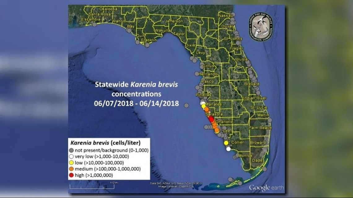 Red tide could cause respiratory issues in Sarasota County, weather ...