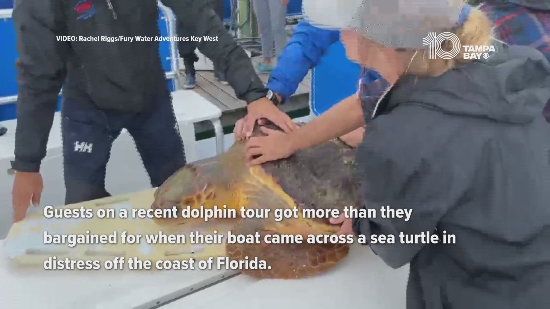 An injured sea turtle is now getting the care she needs after a rescue off the coast of the Florida Keys on Tuesday.