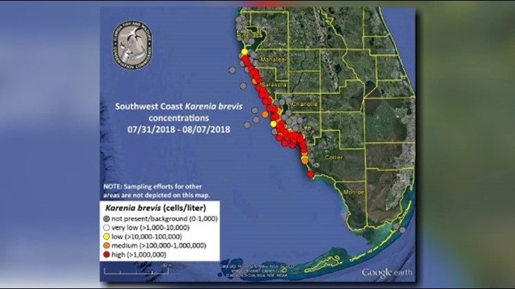 Current Red Tide Map Florida Wells Printable Map - vrogue.co