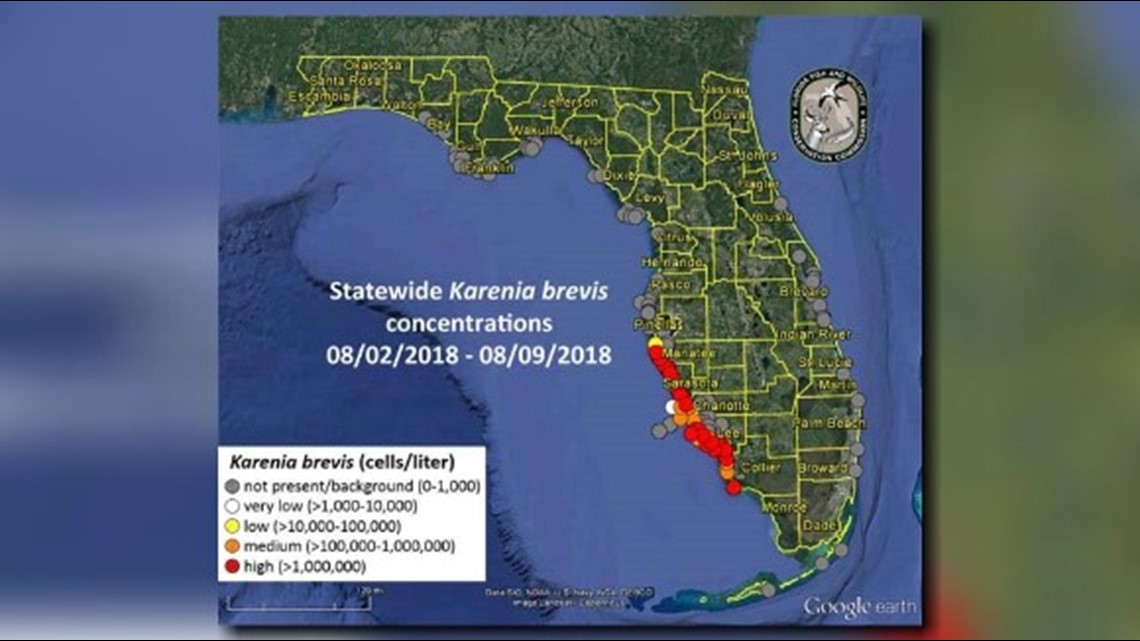 FWC releases new red tide map, reports respiratory irritation on