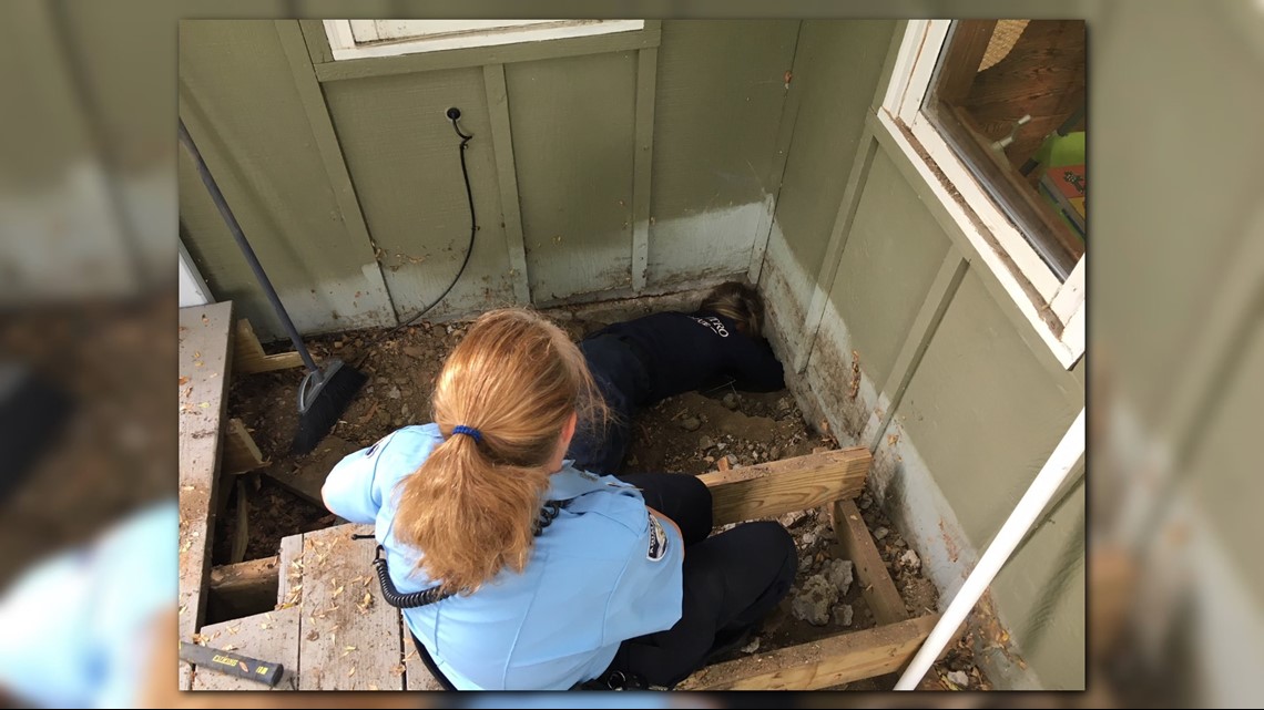Dog trapped under house in Centennial; rescue underway