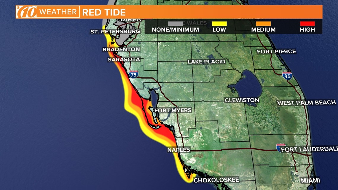 Fwc Releases New Red Tide Map Medium Concentration Reported In