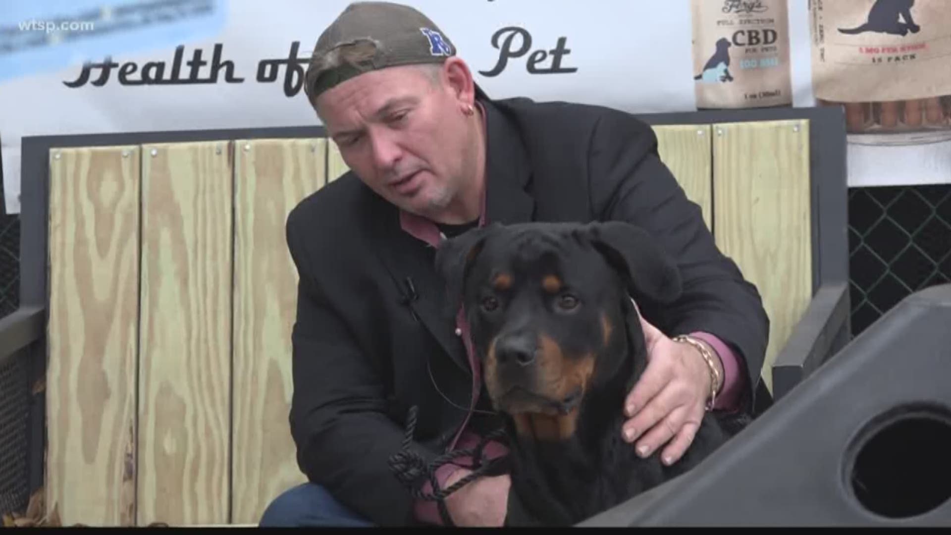 Mahi, a 1-year-old Rottweiler, and his owner are back together after the pup went missing for nearly three months.