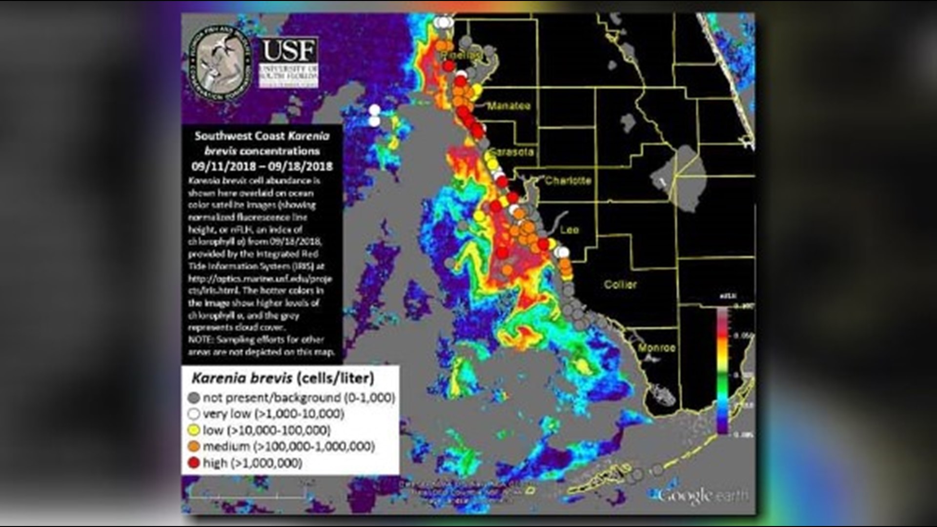 Red tide bloom worsens in Pinellas County, new FWC map shows