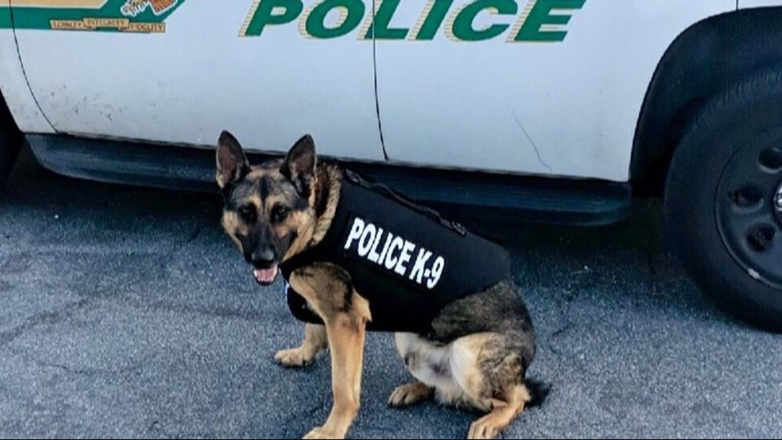 GOOD BOY! St. Pete police K9 Renzo gets newly donated body armor | wtsp.com