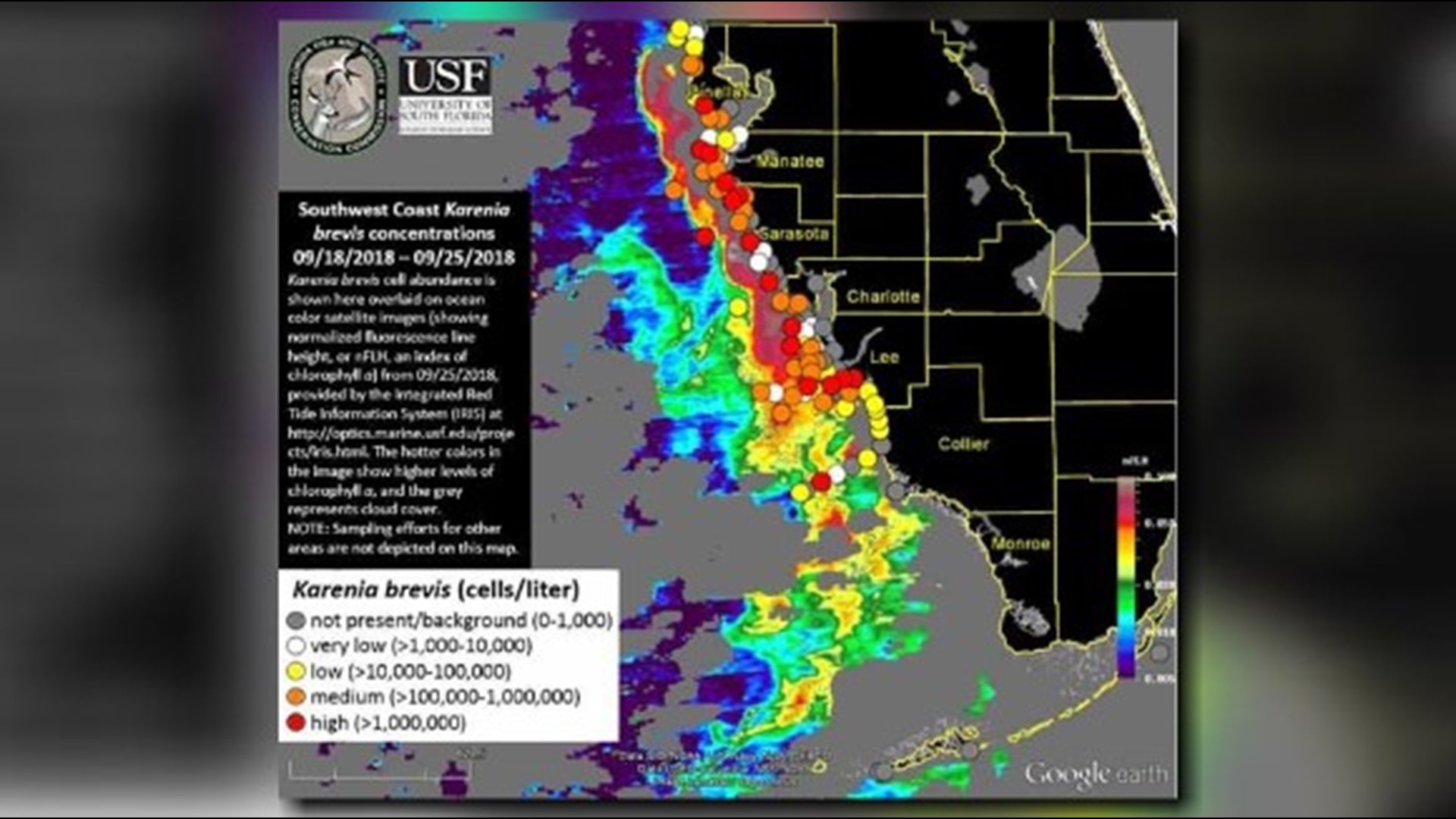 Floridas Red Tide Bloom Isnt Budging From Southwest Coast New Fwc