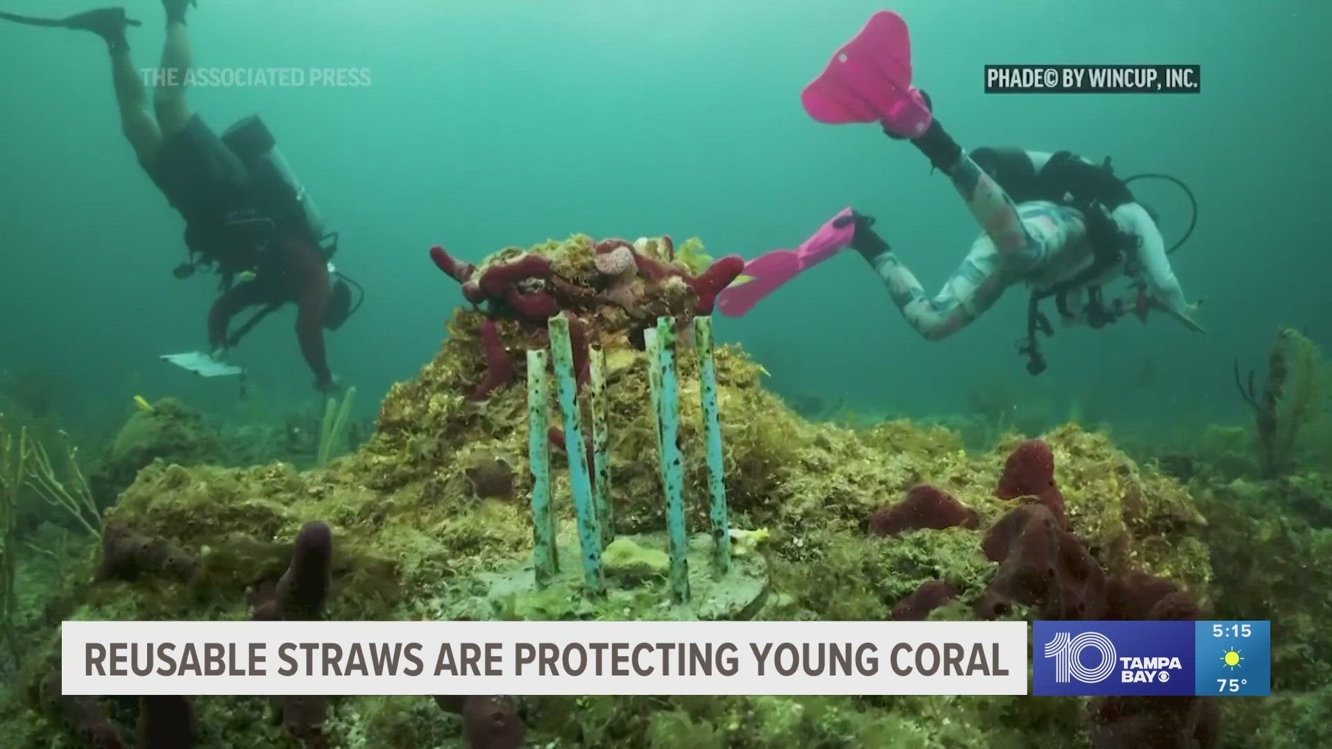 The straws are being used along the coast of South Florida and in the Florida Keys.