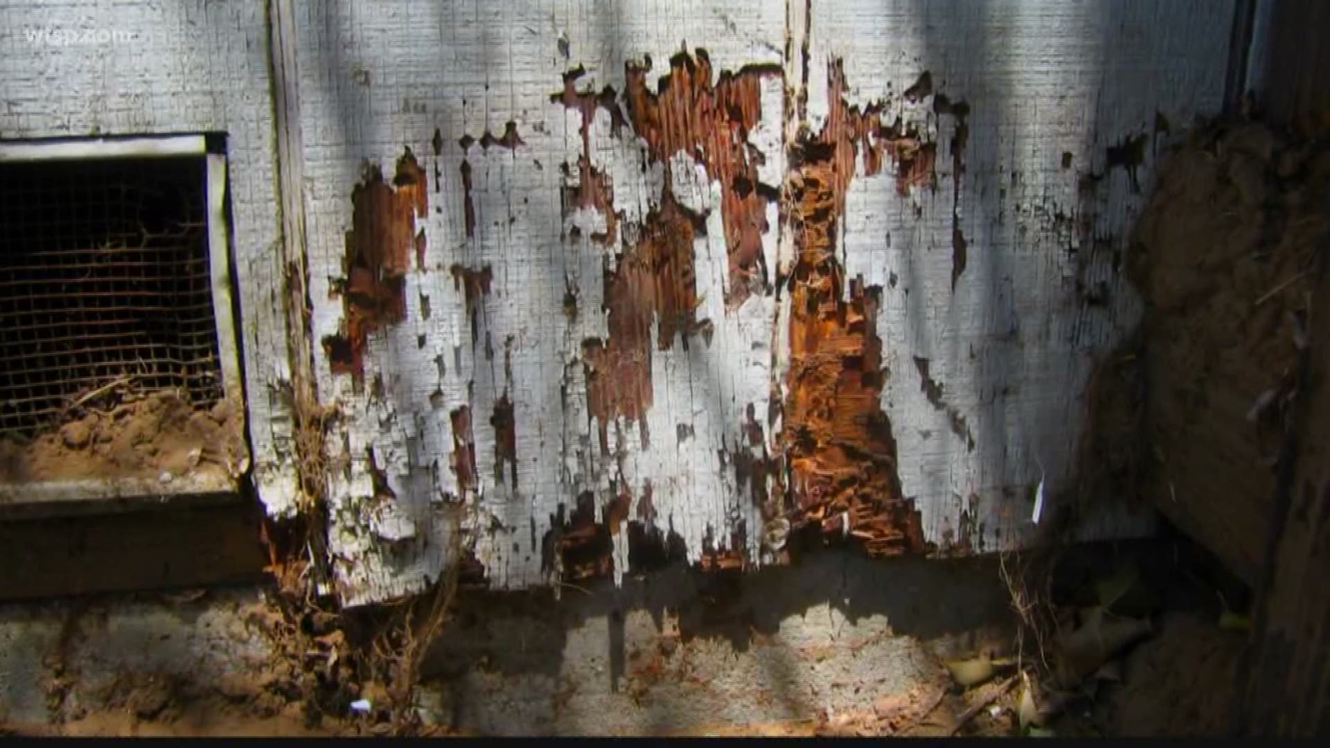 An expert says a free inspection could have you money in storm damage repairs.