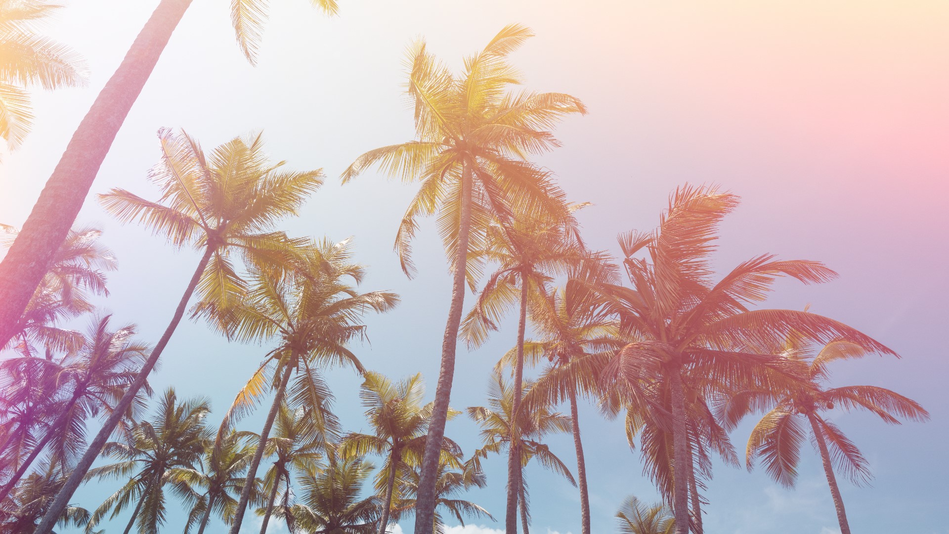 Tampa Weather for January