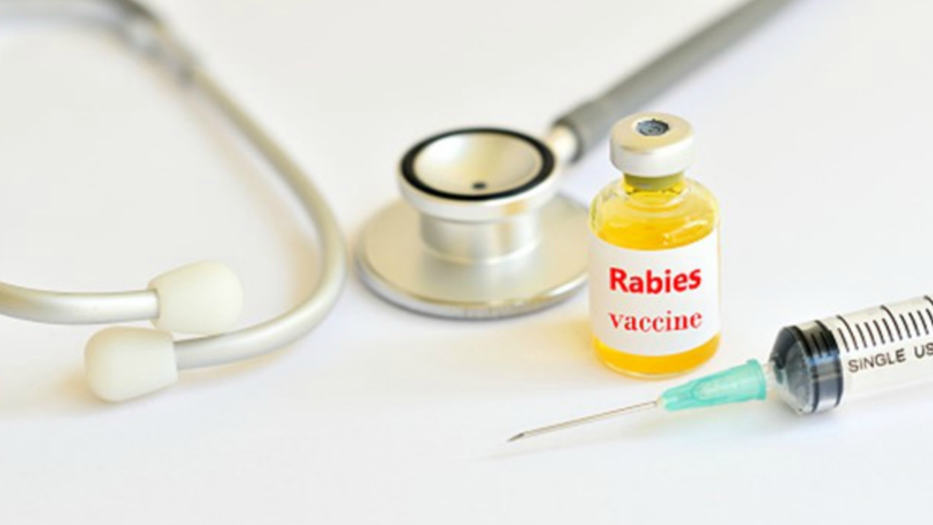 Rabies vaccine. Rabies vaccine. Rabies vaccine. Вакцина от бешенства индия. Бешенство у человека вакцина.
