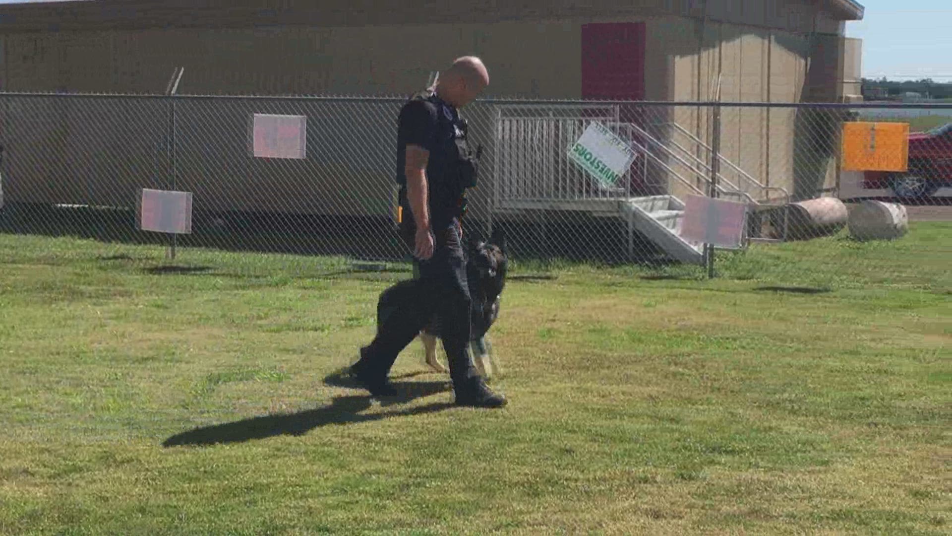 K-9 Titan gets some exercise as he waits for his broken leg to heal.