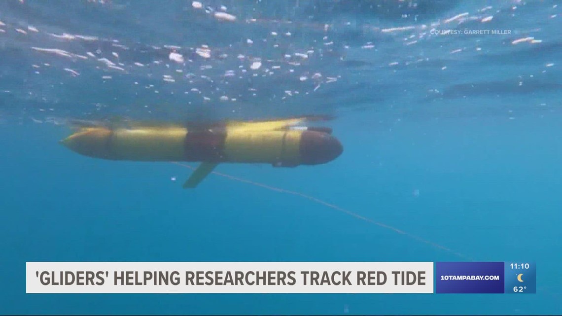 Research 'gliders' assist in study of red tide blooms in the gulf ...