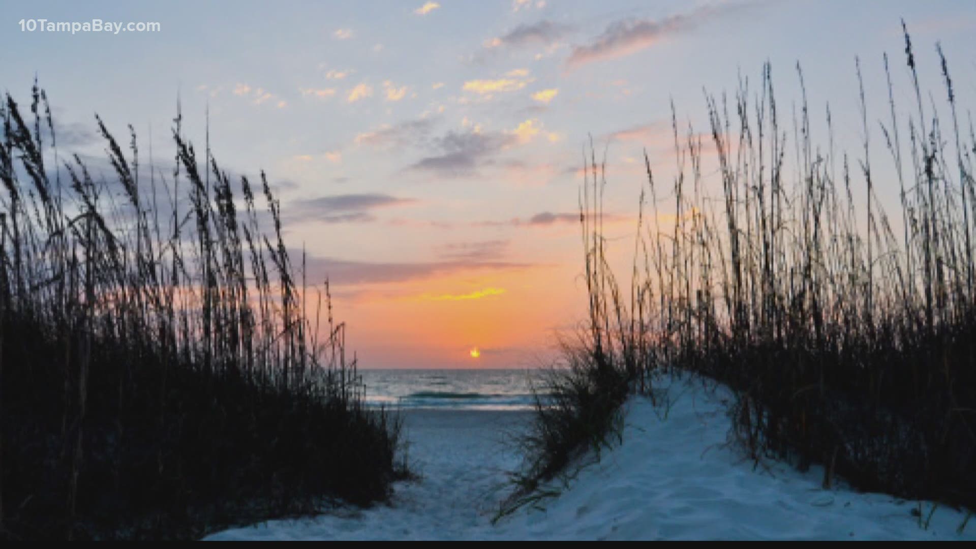 Caladesi Island State Park in Clearwater and St. George Island State Park are two Florida beaches made the list.
