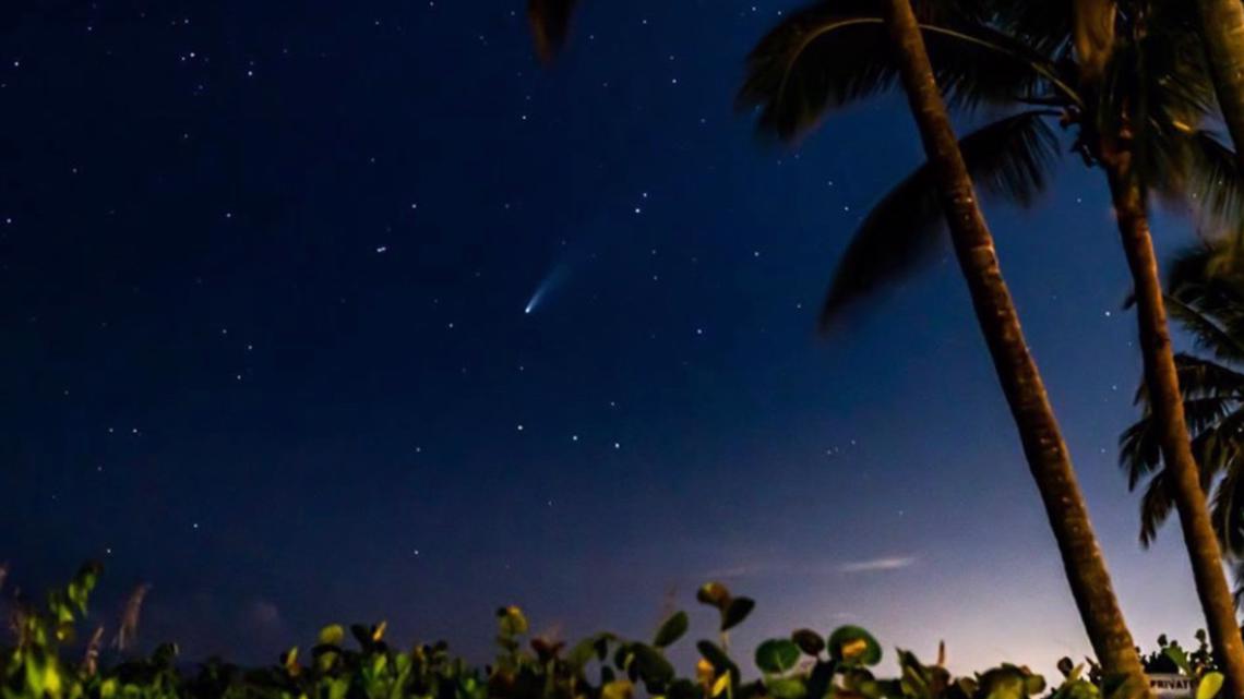 A new comet has been discovered and may be visible in 2021