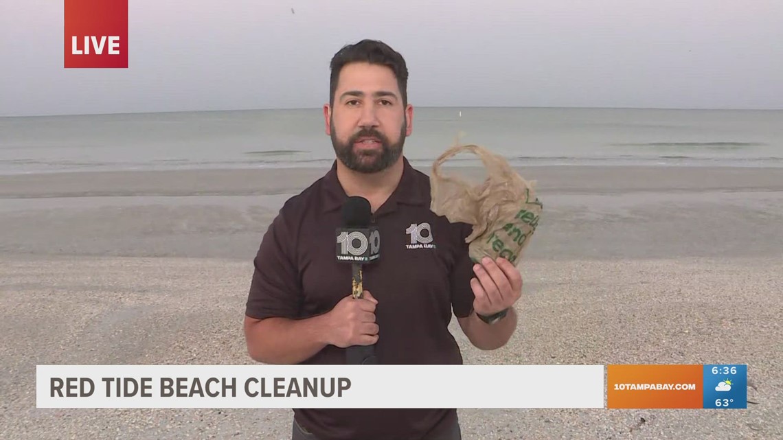 Red tide forecast: Beachgoers could experience respiratory irritation at some Tampa Bay area beaches