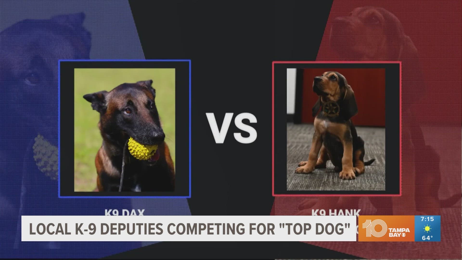 Deputy dogs from Pinellas, Sarasota and Manatee County have made it to the "elite eight" of the Florida Sheriff's Association March Madness tournament.