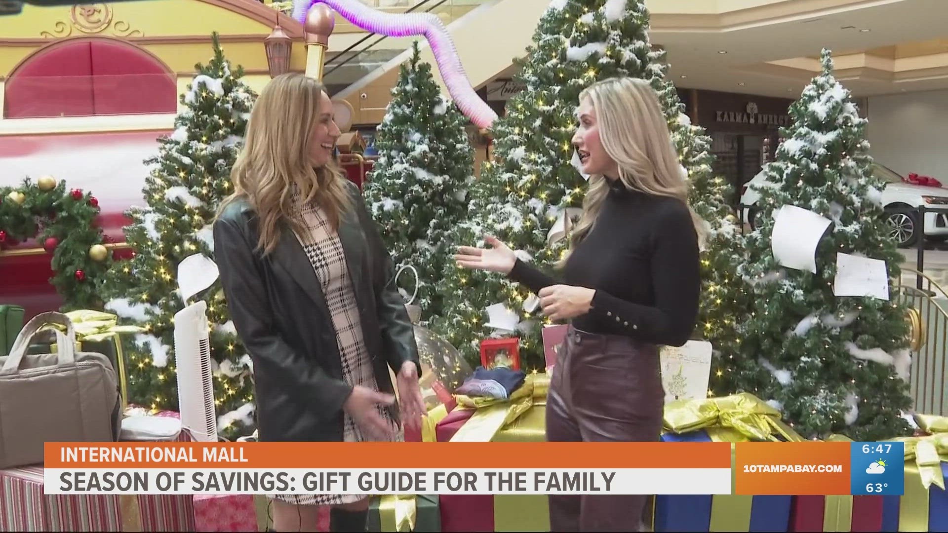 We offer tips for Christmas shopping for your family and a guide to this year's gifts.