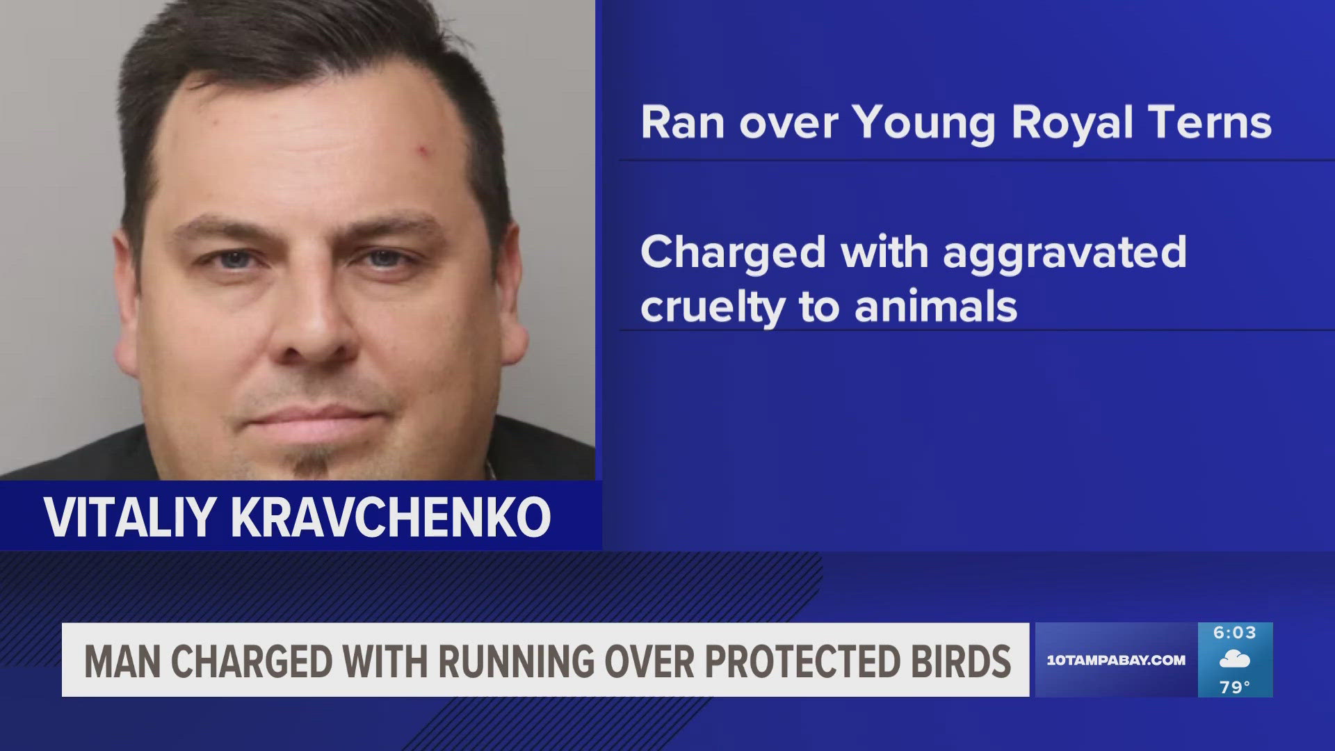 A man is being accused of speeding through the group of birds and killing one of them.