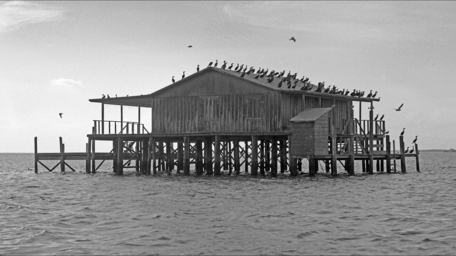 Stilt houses in Pasco County represent Florida history and coastal