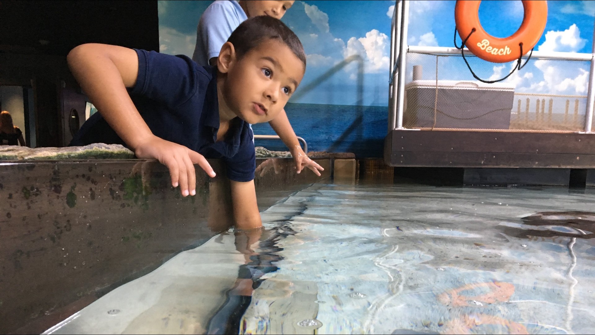 PHOTOS Sensory Guppyween gives kids a special trickortreat