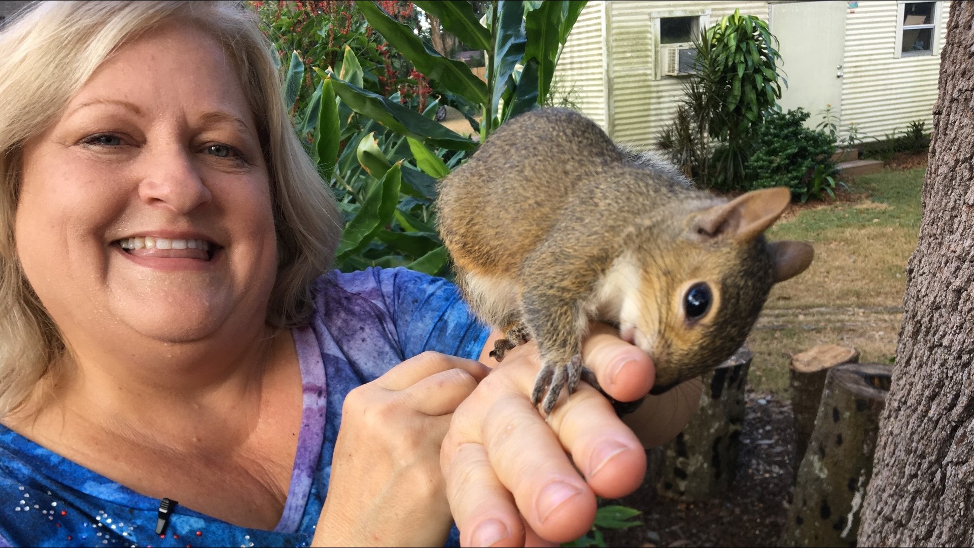 Budding artist carves squirrels at "The Nut House"