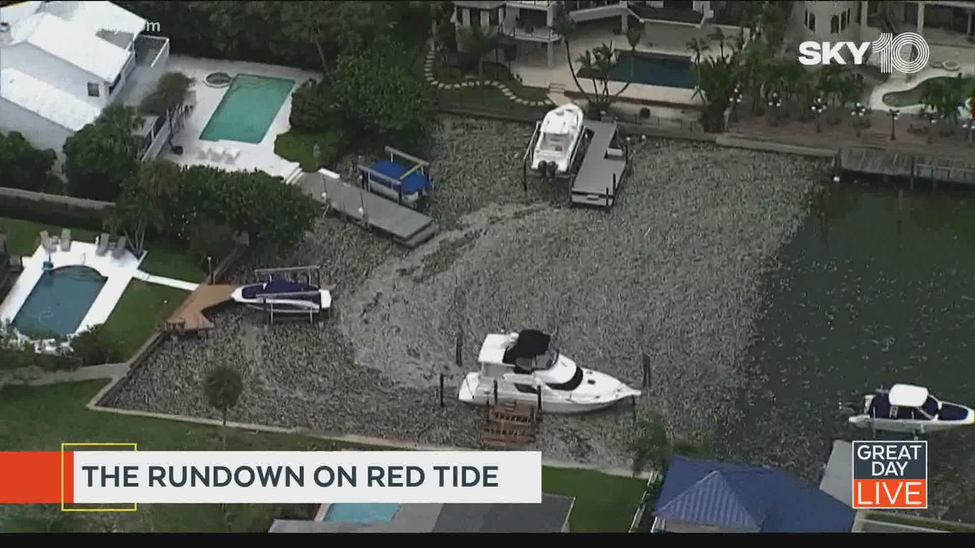 The rundown on red tide