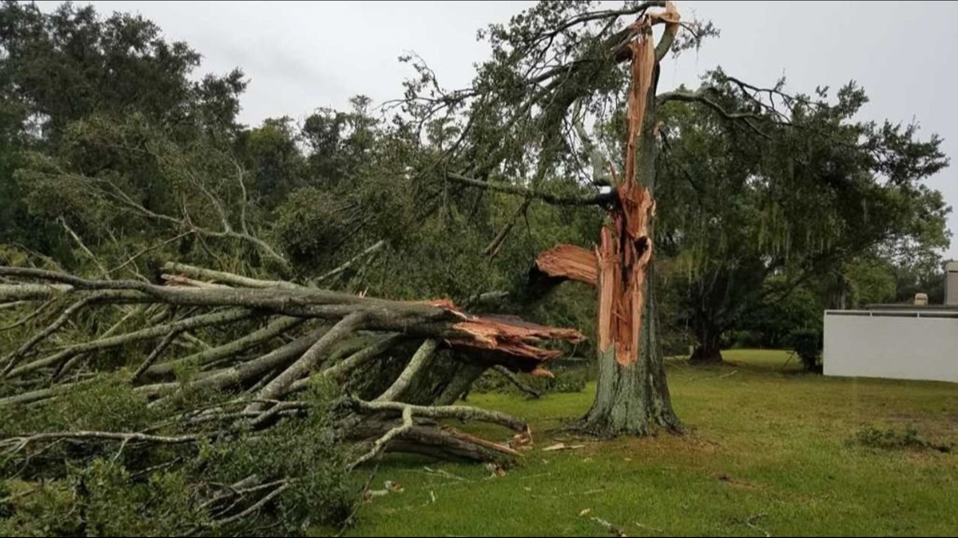 4 tornadoes confirmed in Pasco, Hernando, Pinellas | wtsp.com