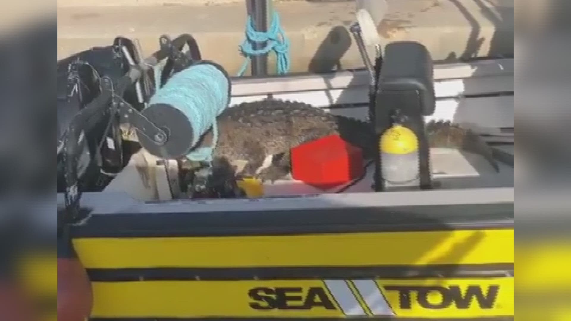 Surprise, there's a crocodile in your boat!

A Miami-based Sea Tow crew came across the toothy reptile in one of its boats stationed at Black Point Marina's fuel dock.

The crocodile was spotted rummaging about the boat before climbing out. (Video: @cjmiami Instagram)