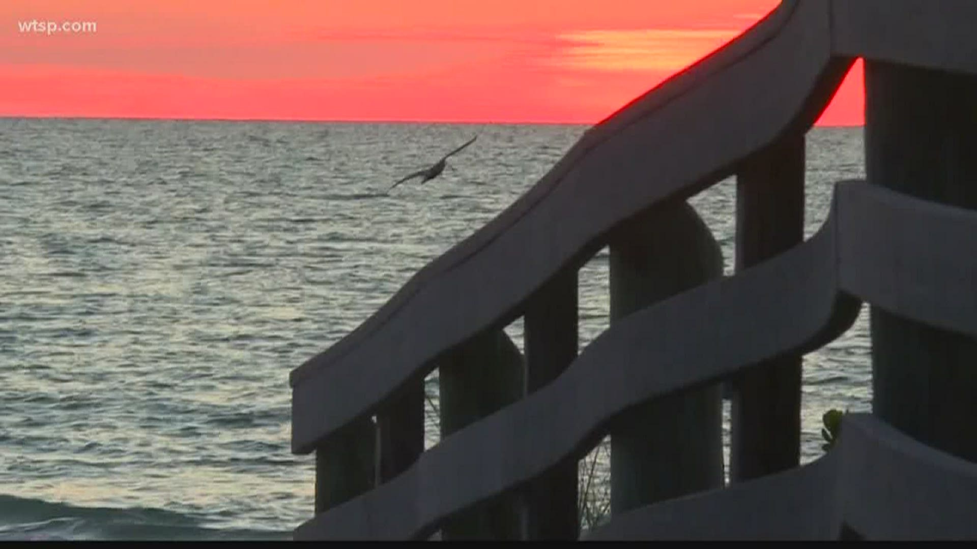 Commissioners voted Tuesday to reopen local beaches as Florida continues to plan for a phased reopening of the state.