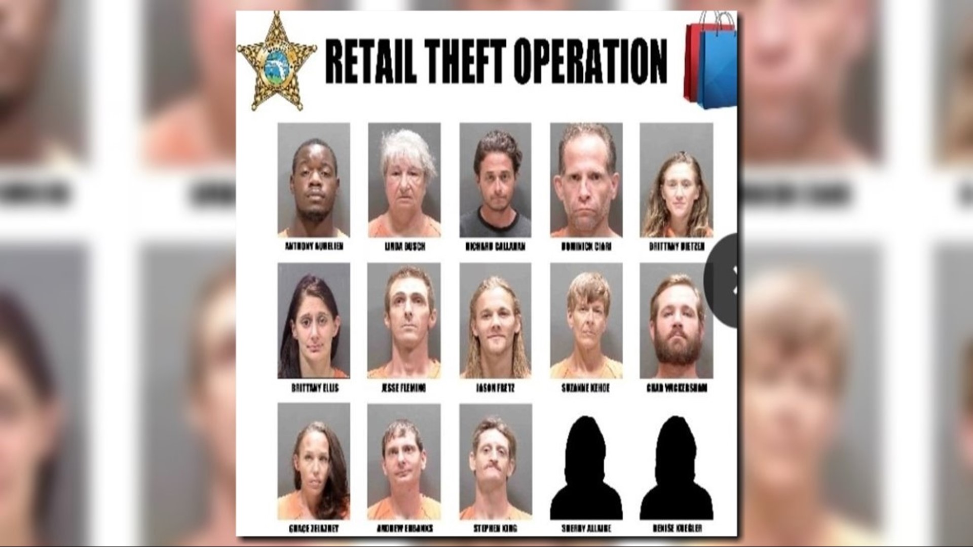 Sarasota Sheriffs Office Cracks Down On Shoplifters In Retail Theft