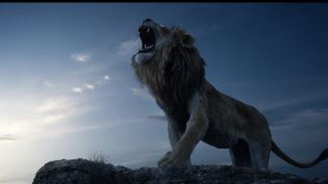 Watch A 'Real-Life Simba' Mount A Rock And Let Out An Epic Roar