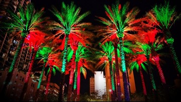 Christmas Lights Tree Lightings Holiday Parades 10 Things Christmas Lights Tree Lightings Holiday Parades 10 Things